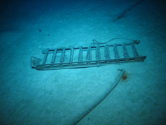 Upper deck ladder - 11 rungs